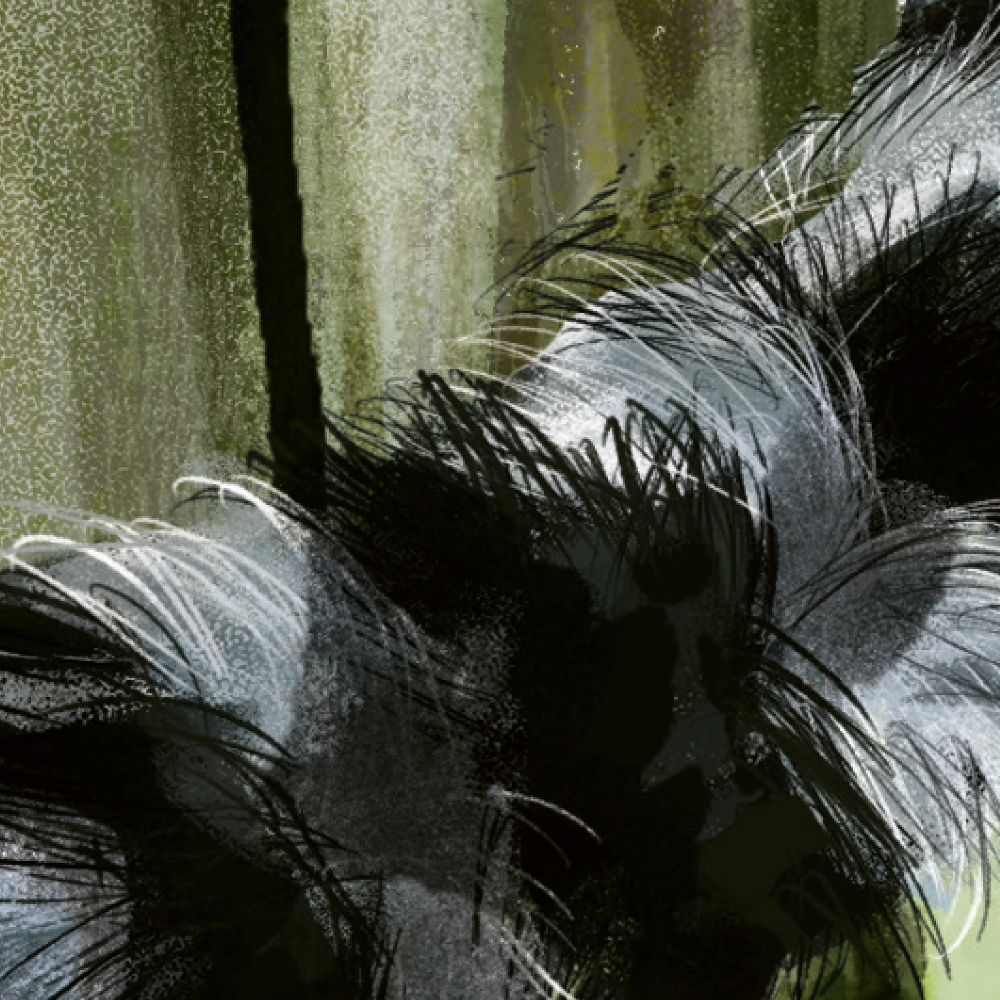 Gros plan sur l'illustration du pelage de la queue annelée avec des couleurs intercalées en anneaux noirs et blancs d'un lémurien.