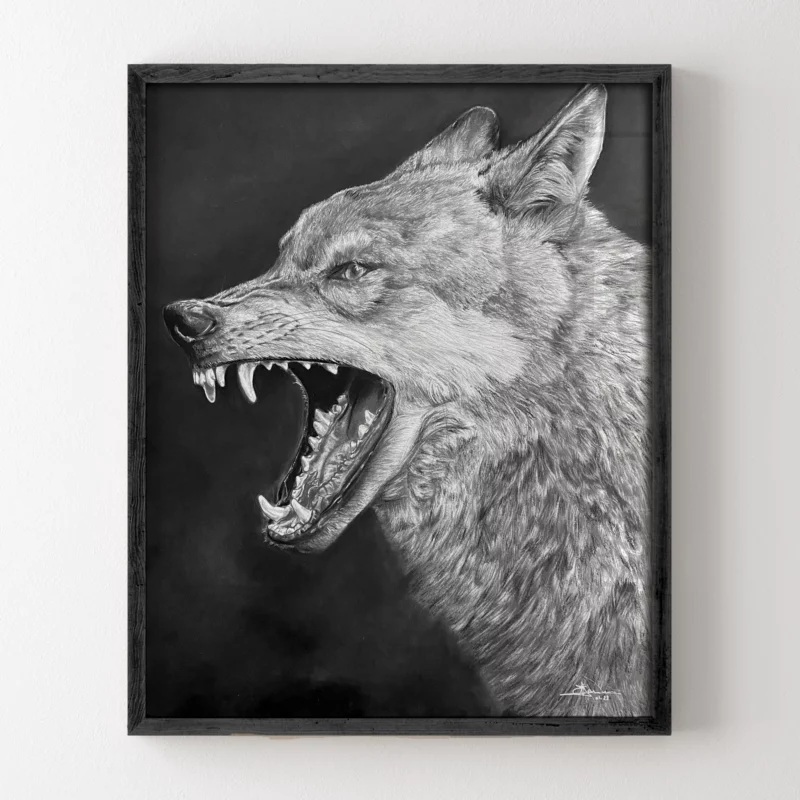 Portrait noir et blanc encadré dans une cadre en bois noir, à l'intérieur un dessin d'un loup à la gueule ouverte et menaçante.