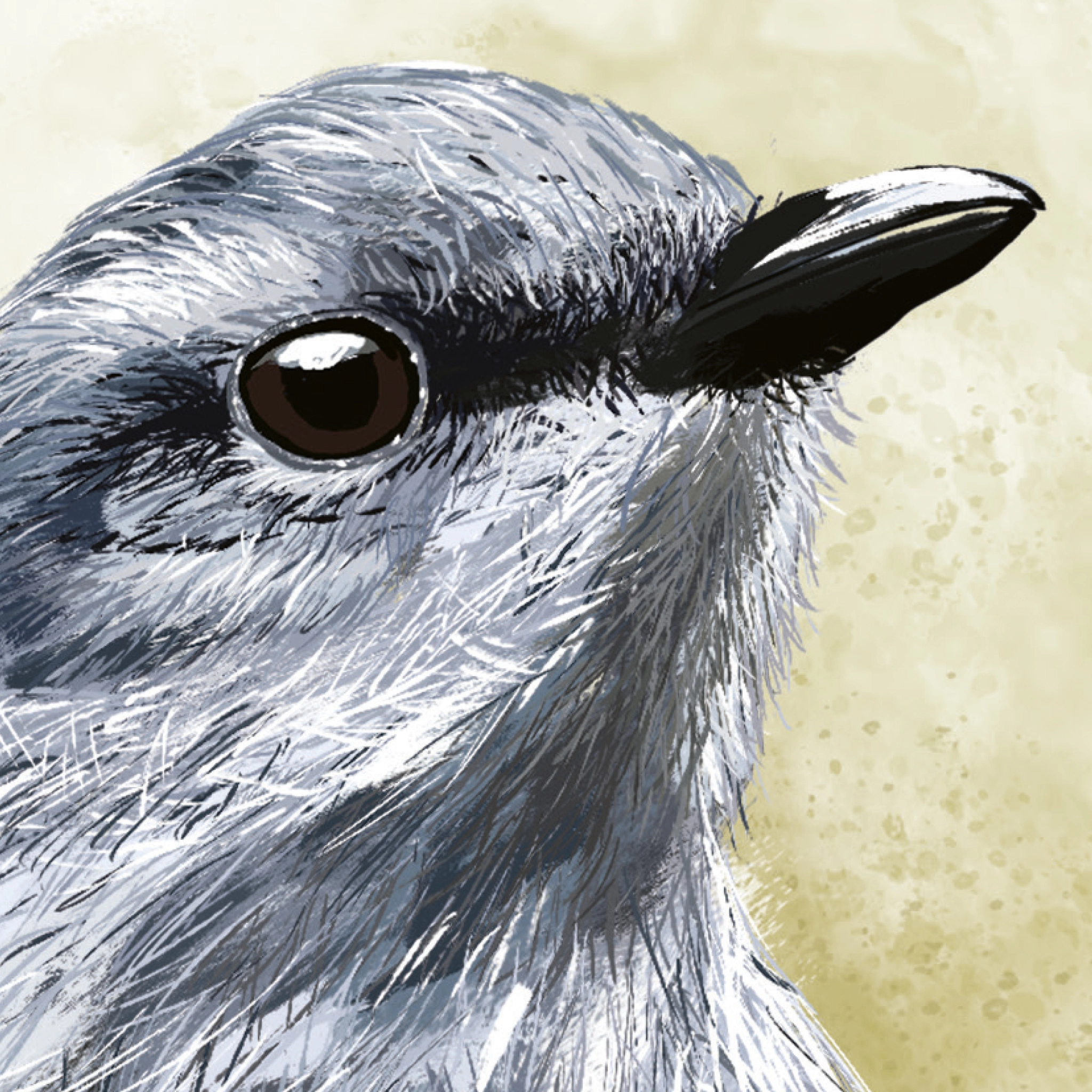 Gros plan sur l'illustration en couleur d'un oiseau. L'oiseau a un plumage bleu, violet, un petit bec noir et un oeil ouvert.
