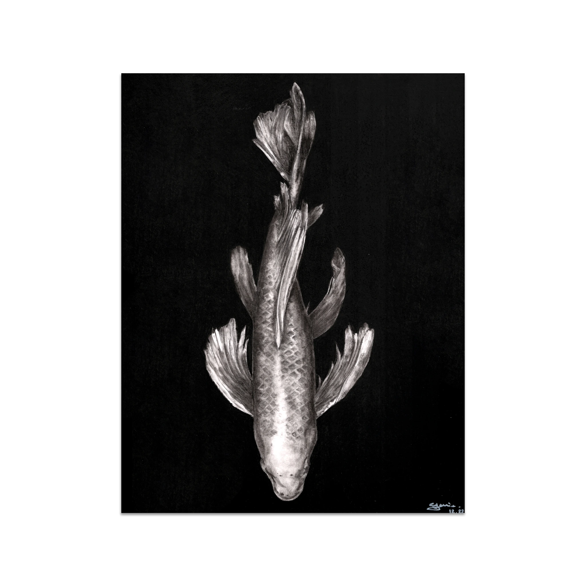 Portrait réalise noir et blanc d'une carpe koï nageant paisiblement dans l'eau, dessiné à la main en utilisant du graphite, du fusain et de la pierre noire. Les textures de la peau de la carpe koï est mises en évidence avec des effets d'ombres et de lumière.