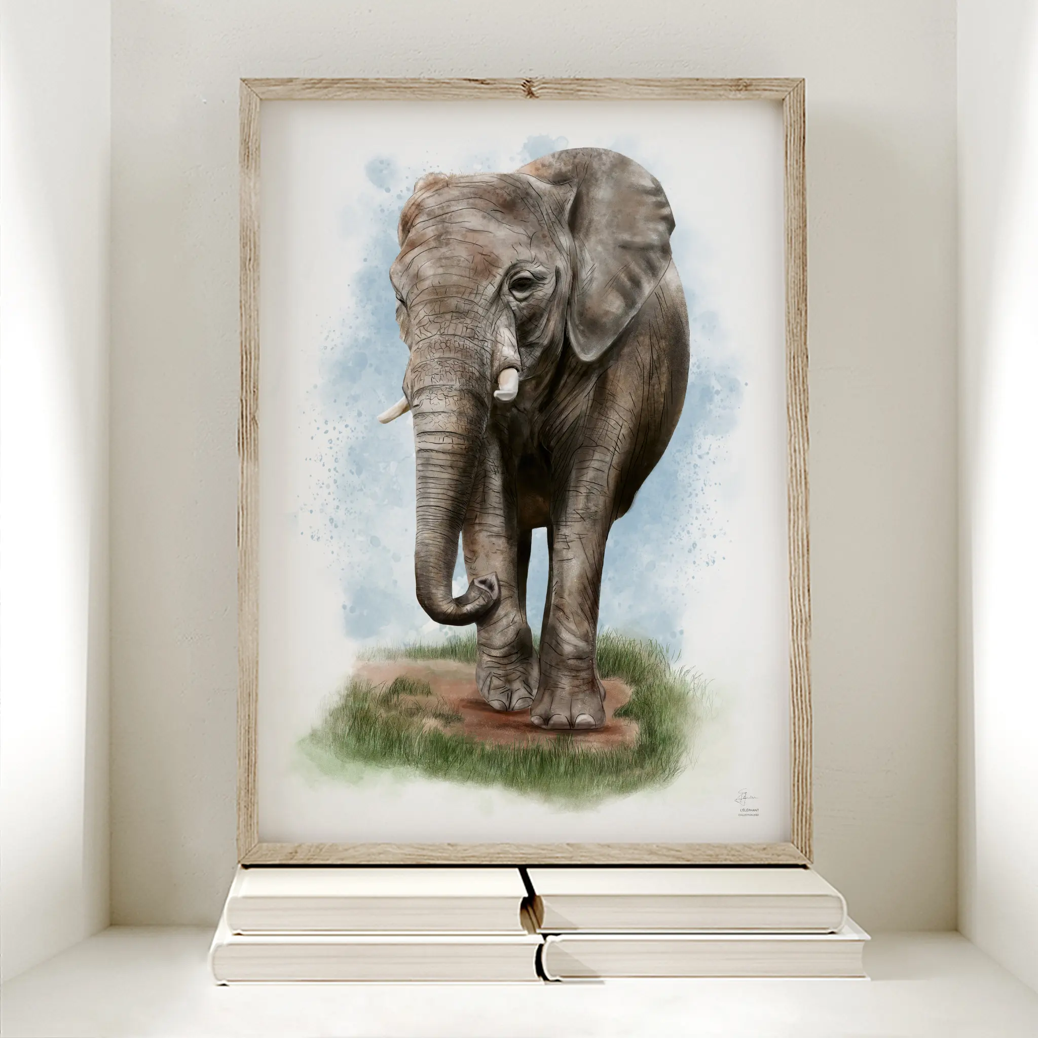 Illustration en couleur d’un éléphant d’Afrique marchant tranquillement sur l’herbe.